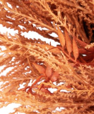 Peachy Pampas Grass Artificial Fall Harvest Wreath 24-Inch - Unlit