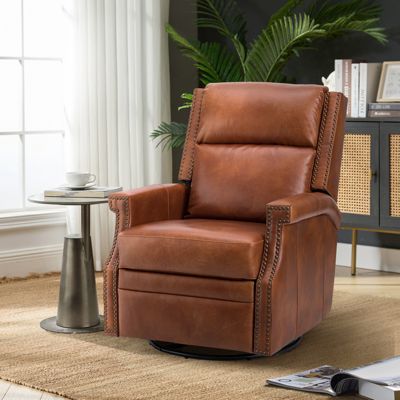 Echidna Transitional Genuine Leather Swivel Rocker Recliner
