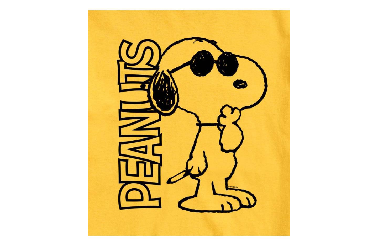 Мужская футболка AIRWAVES Hybrid Apparel Joe Cool Peanuts Logo Short Sleeve, цвет: Меланжевый — фото 11