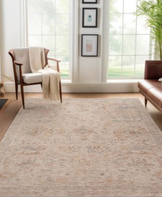 Vienna VI4 7'10x10' Area Rug