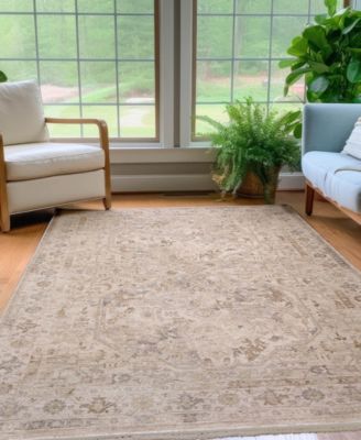 Cyprus CY4 3'x5' Area Rug