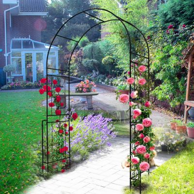 Streamdale Support Climbing Plants with Metal Garden Arch