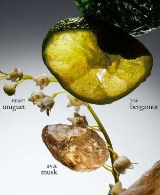 philosophy 4-Pc. Iconic Fan-Favorites Mini Set