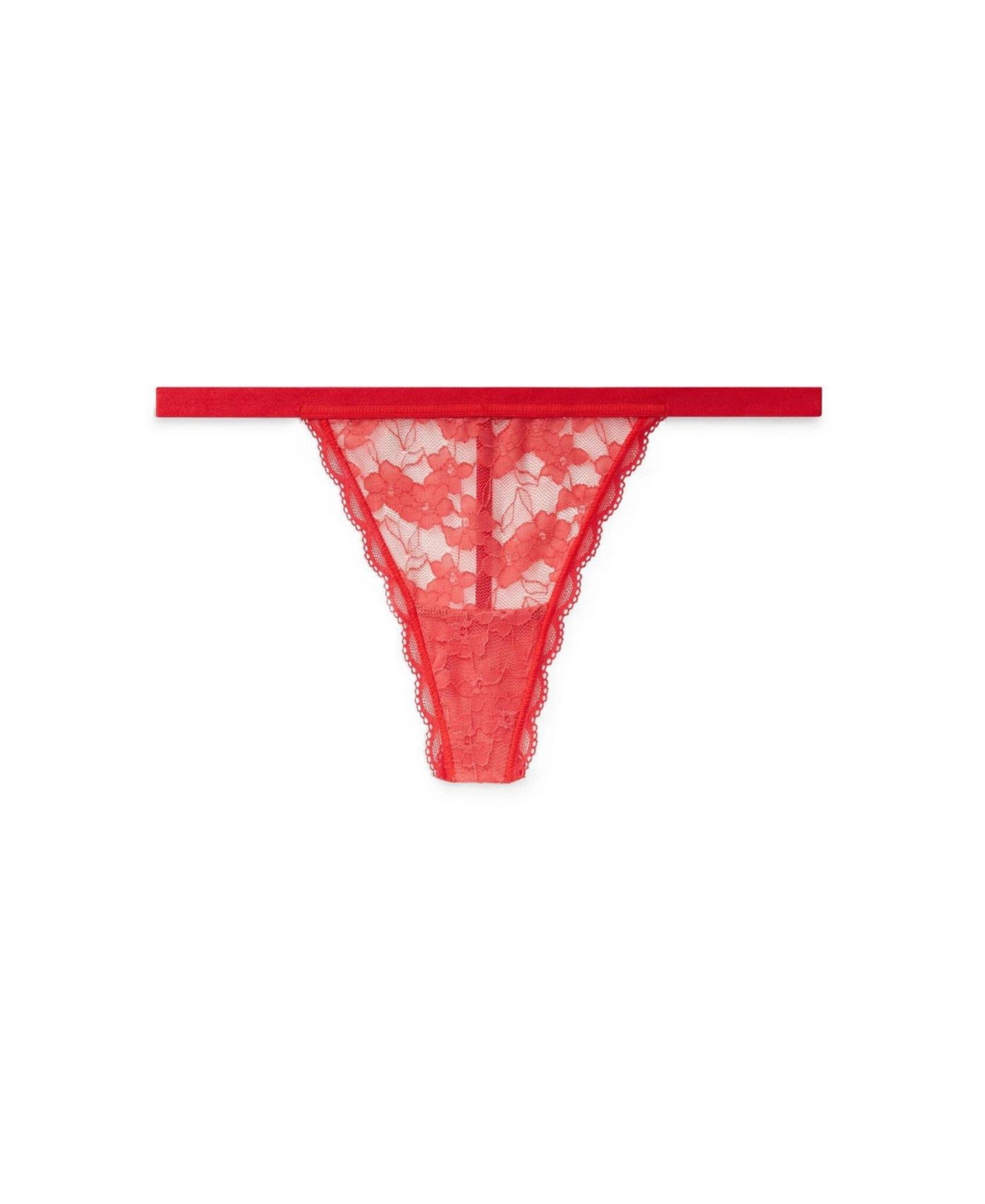 Adore Me Plus Size Blaire G-String Panty