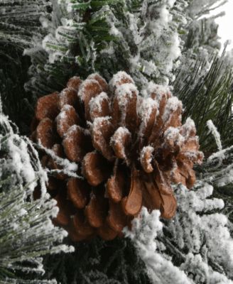 Snowy Bedford Pine Entrance Tree 4 ft.