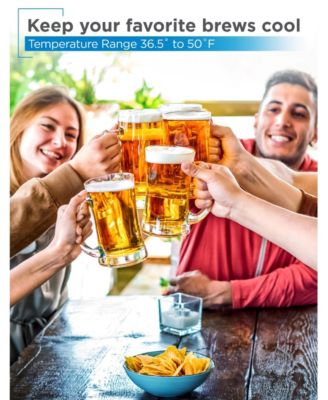 6.1 cu. ft. Dual Tap Kegerator