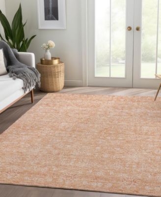 Chantille Machine Washable ACN703 5'x7'6" Area Rug