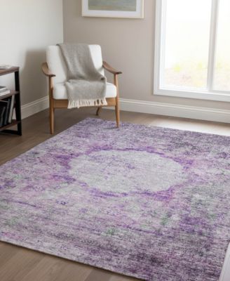 Chantille Machine Washable ACN675 5'x7'6" Area Rug