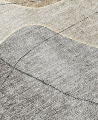 Chantille Machine Washable ACN672 5'x7'6" Area Rug