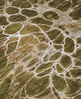 Chantille Machine Washable ACN652 3'x5' Area Rug