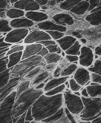 Chantille Machine Washable ACN652 5'x7'6" Area Rug