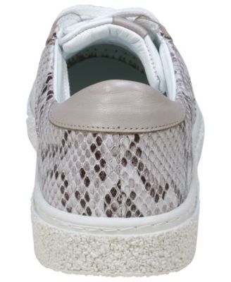 Women's Charlee Snakeskin Two-Tone Star Motif Lace Up Sneakers