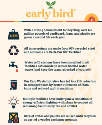 Early Bird 10" Firm Mattress - King