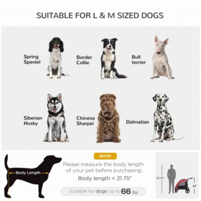 Spacious Pet Stroller for Dogs up to 77 lbs, with Foldable Design for Convenient Storage