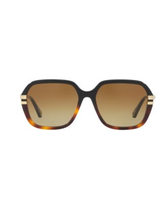  Women's Sunglasses, CH0204S 