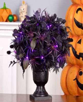 Scare in the Air Potted Plant, 24 Inches