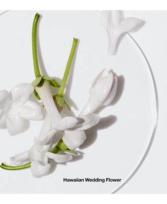 Happy Body Spritz Fragrance Spray, 4.2 oz.