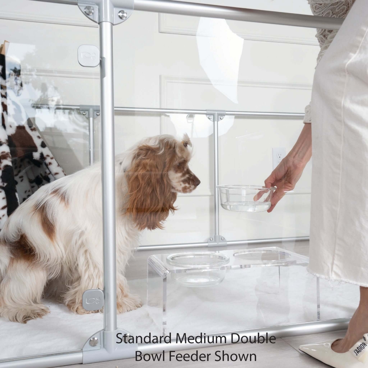 Clearly Loved Pets Modern Acrylic Glass Bowl Feeders, Angled Style, Single Bowl