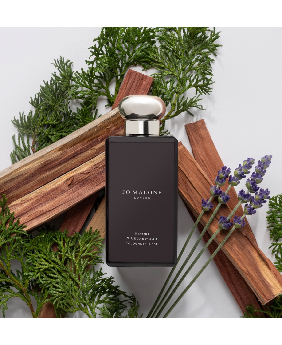 Jo Malone London Hinoki & Cedarwood Cologne Intense, 1.7 Oz. In No Color