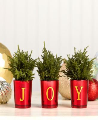 "JOY" Mini Trees, Set of 3, 8 Inches
