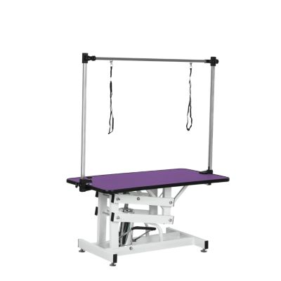 Streamdale 42.5" Hydraulic Pet Grooming Table with Adjustable Arm