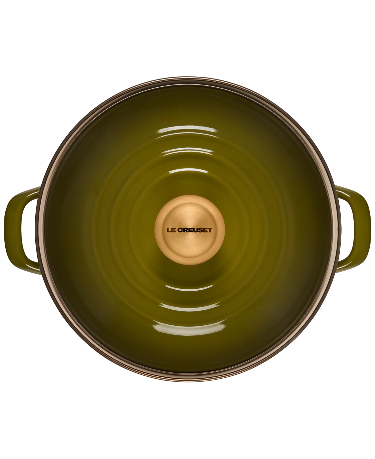 Le Creuset 10-quart Enameled Stainless Steel Stock Pot In Olive