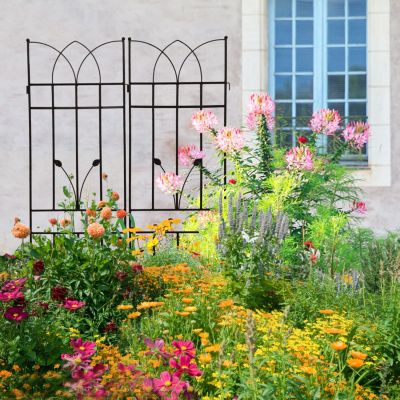 2 Pack 71" Rustproof Metal Trellises for Climbing Plants