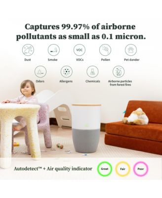 Bloom Air Purifier, Smart HEPA-13 Medical-Grade Filtration, Large Rooms (1,517 Sq. Ft.) with Oak Accent Table