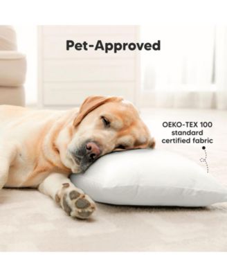 2pk Jumbo Toddler Pillow - Soft Organic Cotton Kids Pillows for Sleeping - 14X20 Travel Pillow for Kids Age 2-5