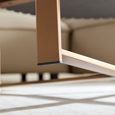  Modern Coffee Table with Stainless Steel & Ash Grain