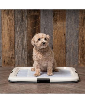 Potty Pad Holder, Fits 23"x23" or Larger, Square, Puppy Dog Pad Hoder, Secured Latches, Non-Skid Rubber Feet, High Polish Finish for Easy Cleaning, Leak Protection, Dog Potty Tray, Navy