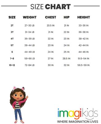 Toddler Girls Dreamworks T-Shirt and Chambray Shorts Outfit Set