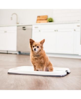 Pad Holder, Fits 17"x24" or Larger, Medium, Puppy Dog Pad Hoder, Secured Latches, Non-Skid Rubber Feet, High Polish Finish for Easy Cleaning, Leak Protection, Tray, Dark Gray