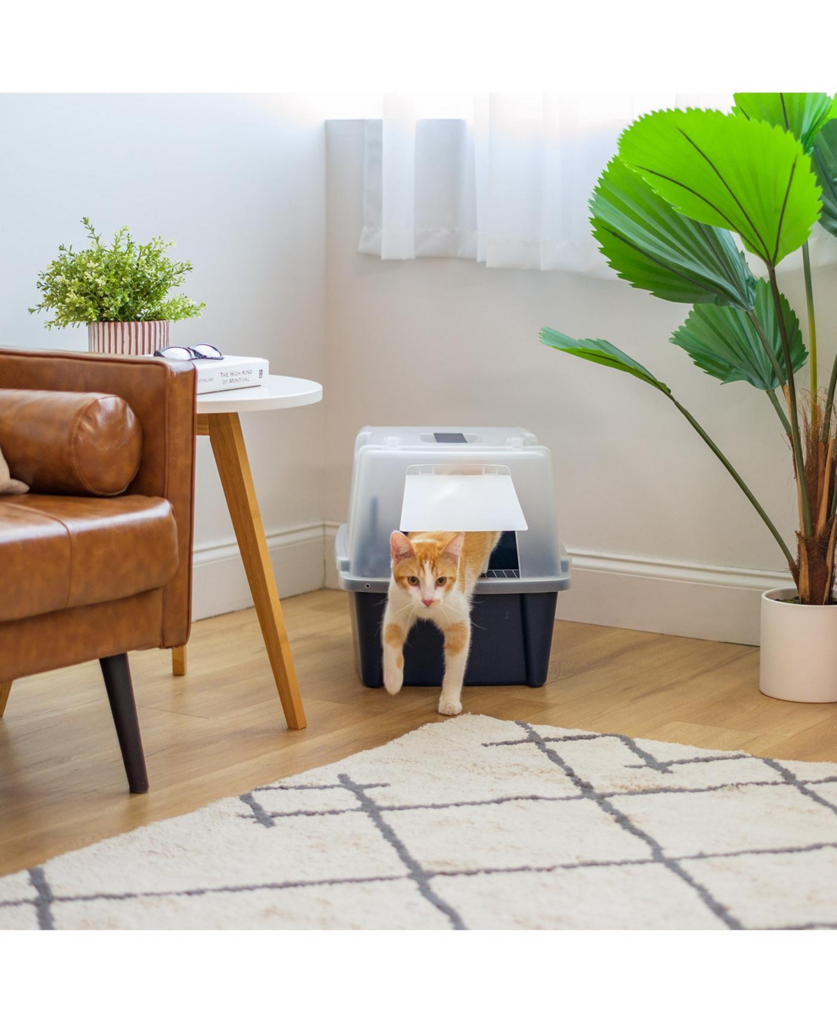 Iris Large Split-Hood Cat Litter Box with Scoop and Grate, Blue