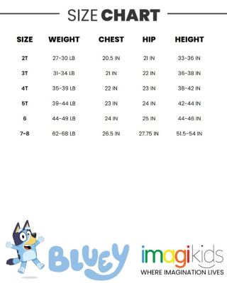 Little Boys Fleece Pullover Hoodie and Pants Outfit Set