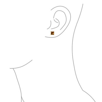 2CT Red Square Cubic Zirconia Princess Cut AAA CZ Stud Earrings For Women .925 Sterling Silver Simulated Ruby