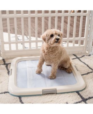 Holder, Fits 23"x23" or Larger, Medium, Puppy Dog Pad Hoder, Secured Latches, Non-Skid Rubber Feet, High Polish Finish for Easy Cleaning, Leak Protection, Dog Potty Tray, Blue