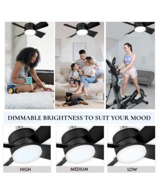 Bell +Howell  15.7 in. Indoor LED  Ceiling Fan with Remote  Ceiling Fan Appliance