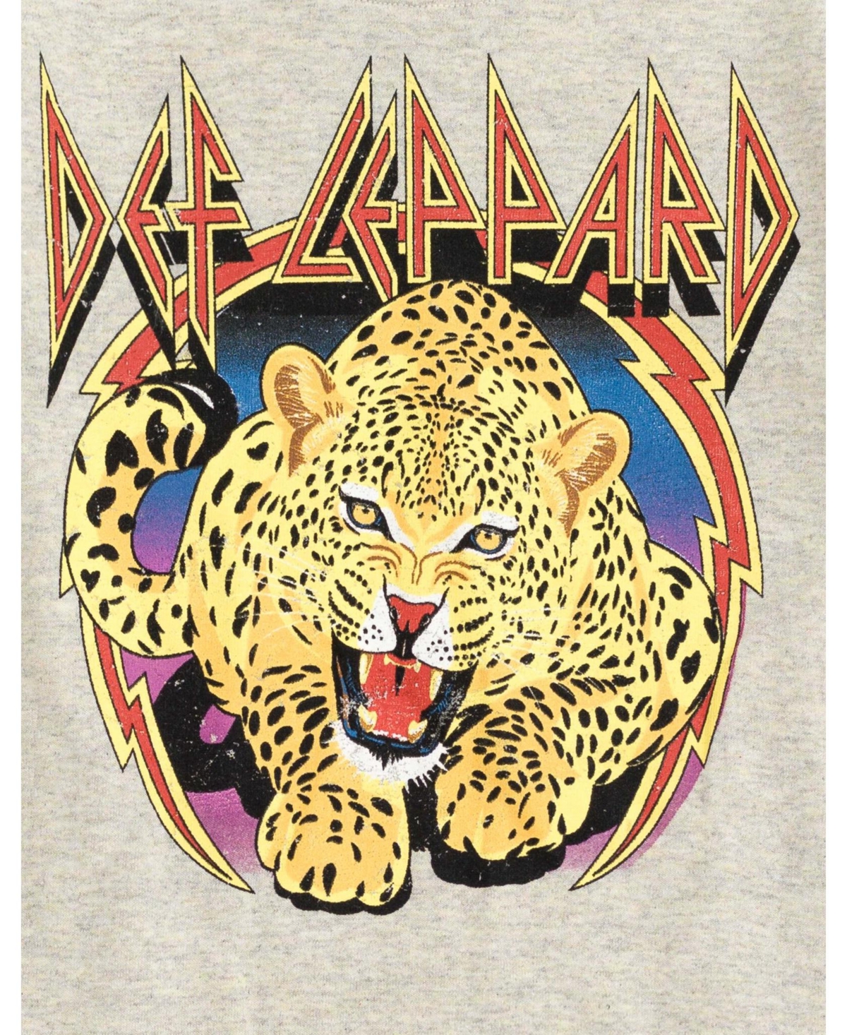 Def Leppard Big Boys Fleece Pullover Sweatshirt Little Kid to Big Kid