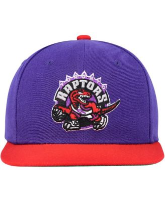 Big Boys and Girls Purple/Red Toronto Raptors Two-Tone Snapback Hat