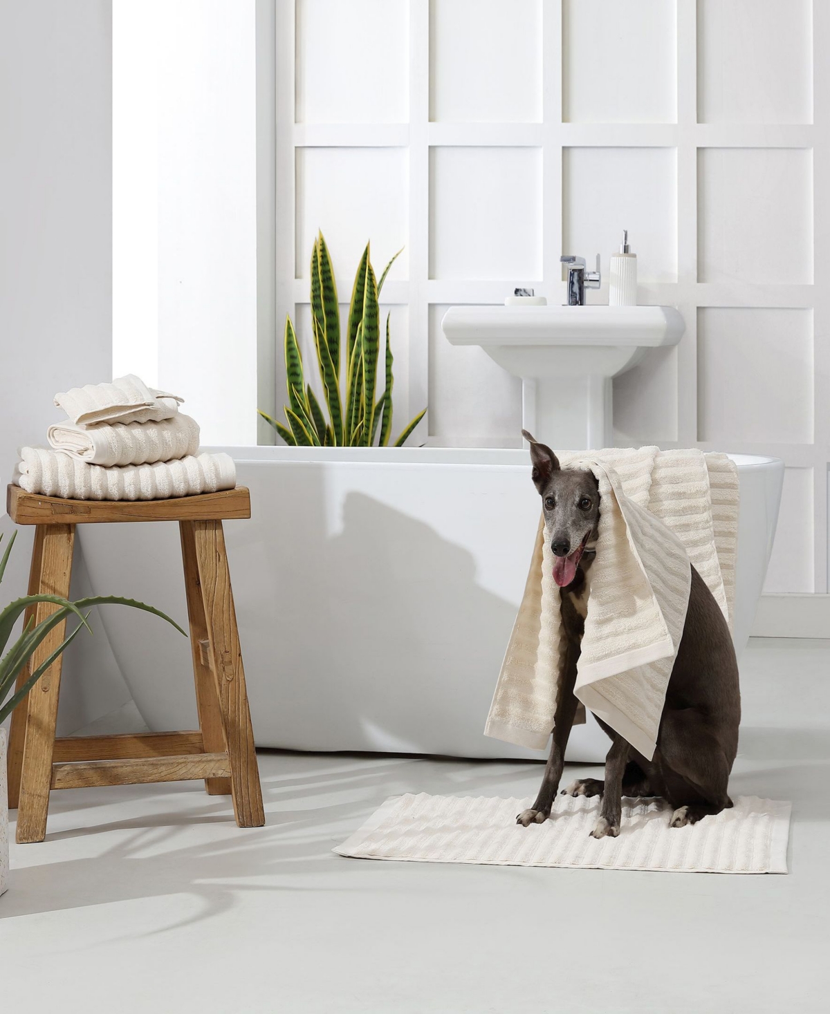Sunday Citizen Cotton Ribbed Towel Set In Cream
