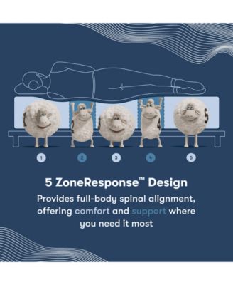 iComfort Elana 11.5" Memory Foam Firm Mattress Set - California King 