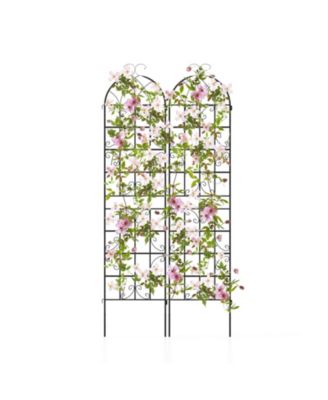 2 Pack Metal Garden Trellis Decorative for Climbing Plants