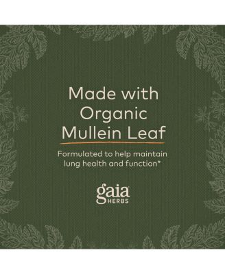 Mighty Lungs - Lung Support Supplement to Help Maintain Overall Lung & Respiratory Health - With Mullein, Plantain, Schisandra & Elecampane - 60 Liquid Phyto-Capsules (30-Day Supply)