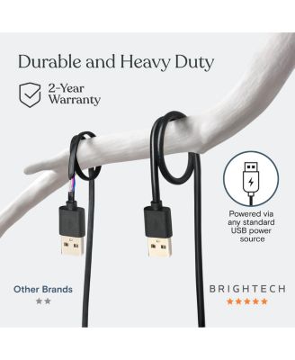 Ambience Pro 24.5 ft. USB-Powered LED String Lights with Warm White Hue