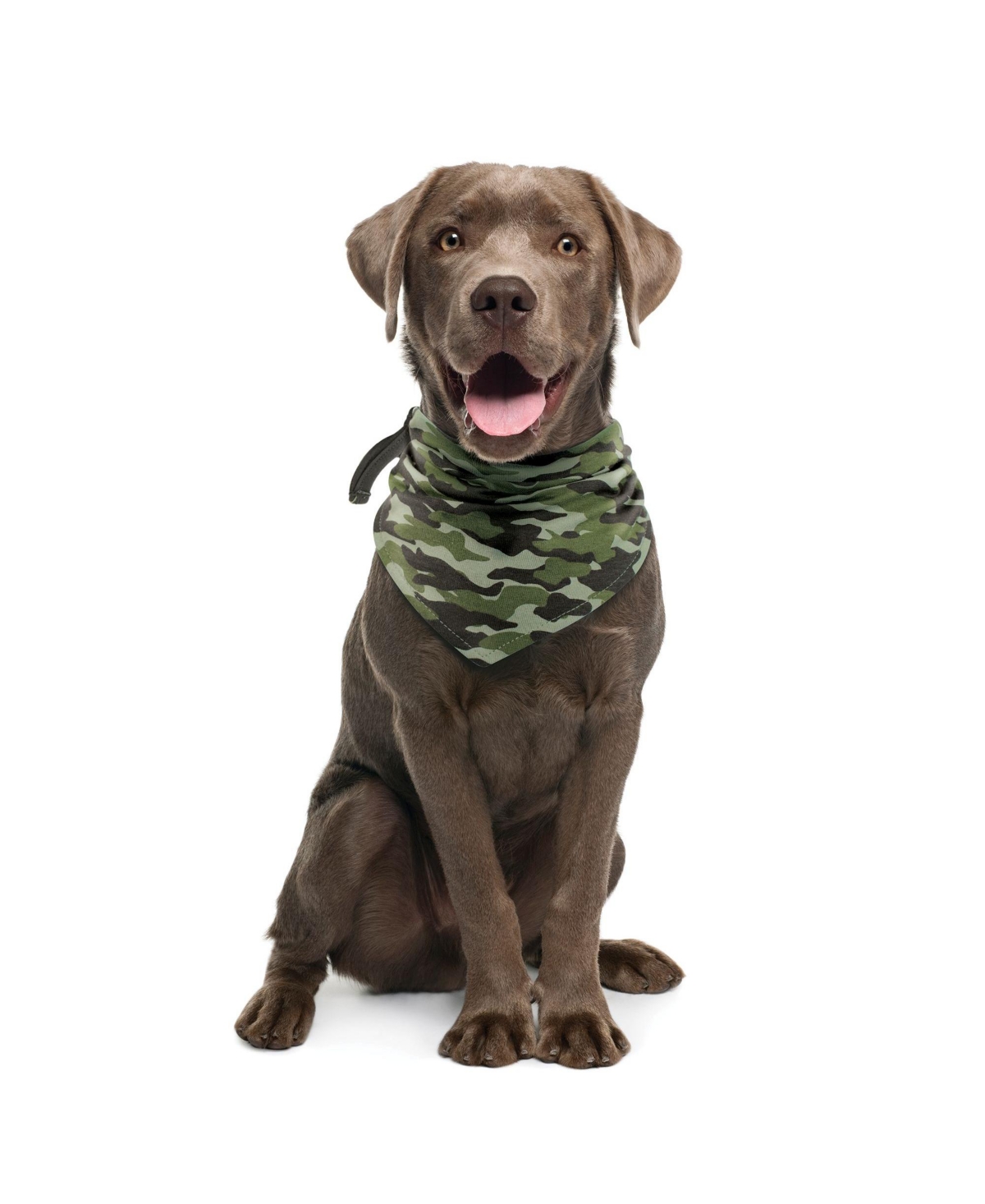 Luvable Friends Dog Reversible Pet Dog and Cat Bandana Bibs 2pk, One Size - Space camo