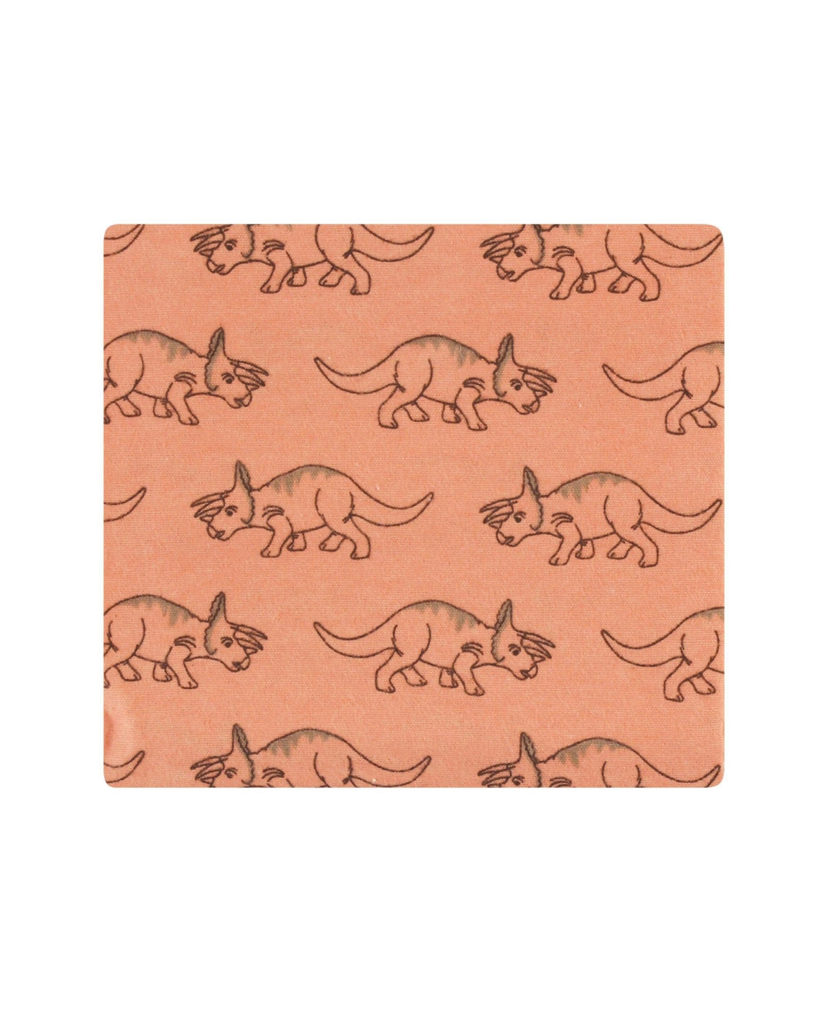 Hudson Baby Cotton Poly Flannel Receiving Blankets Bundle, Fun Desert, One