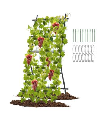 74 Inch Tall Garden Trellis for Flower Vine Vegetable Fruit Pea