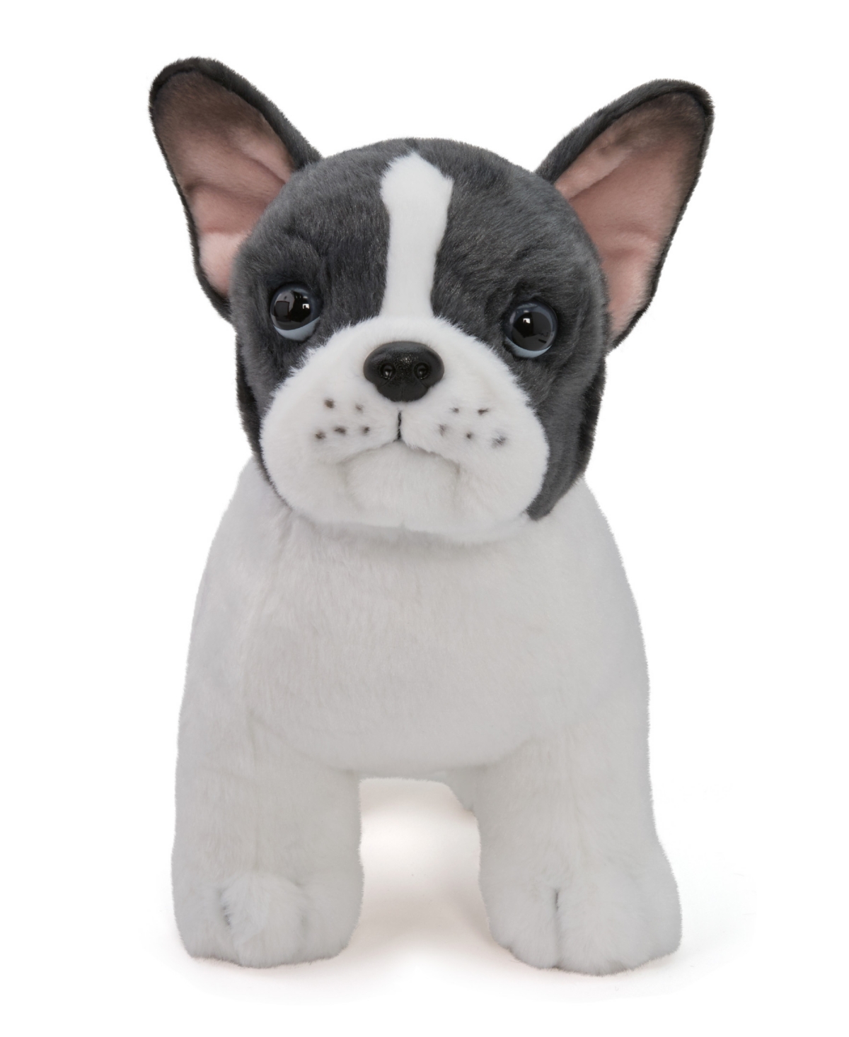 Geoffrey's Toy Box French Bulldog Puppy Dog Plush In No Color