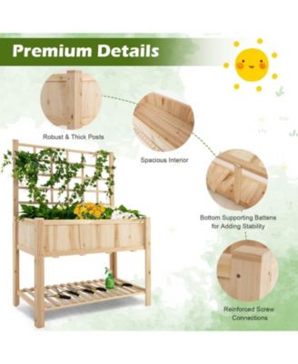 Raised Garden Bed Elevated Wooden Planter Box with Trellis